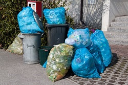 W4 Domestic Waste Disposal Chiswick